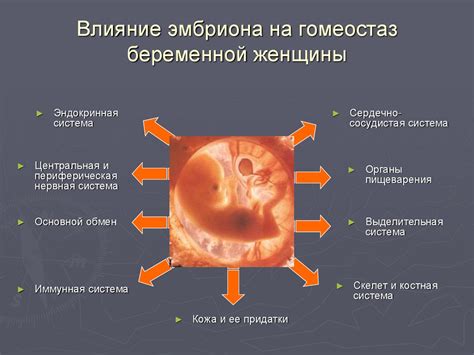 Секреты красоты и благополучия женщины во время покоя