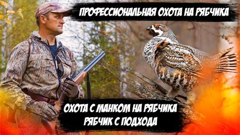 Секреты успешной охоты на интересных собеседников