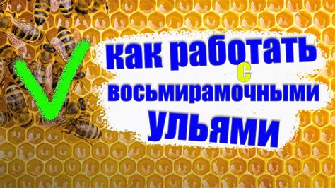 Секреты эффективной работы с восьмирамочными ульями