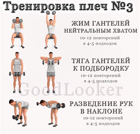 Силовые тренировки для плеч: важные аспекты для прогресса