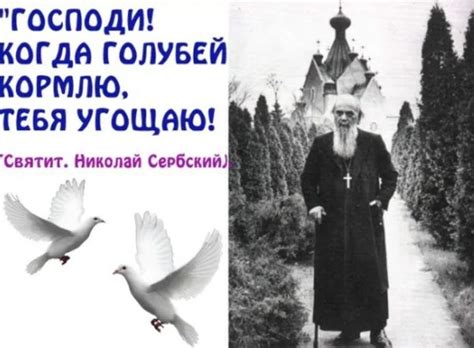 Символизм голубя