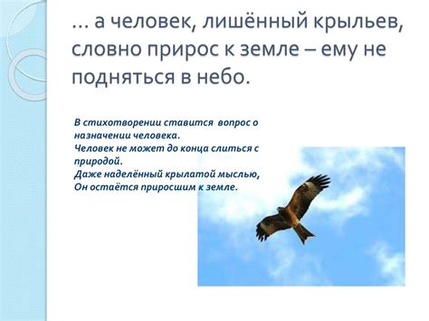 Символика природы в стихотворениях Федора Тютчева: отражение вечности