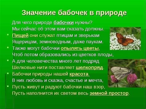 Символическое значение неожиданного появления бабочки за офисным окном
