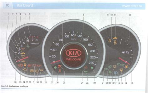 Символическое значение украшения на панели Kia Rio
