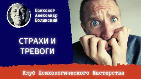 Символ серых мышей: скрытые страхи и тревоги