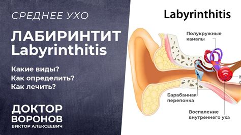 Симптомы гнойящегося уха и их диагностика