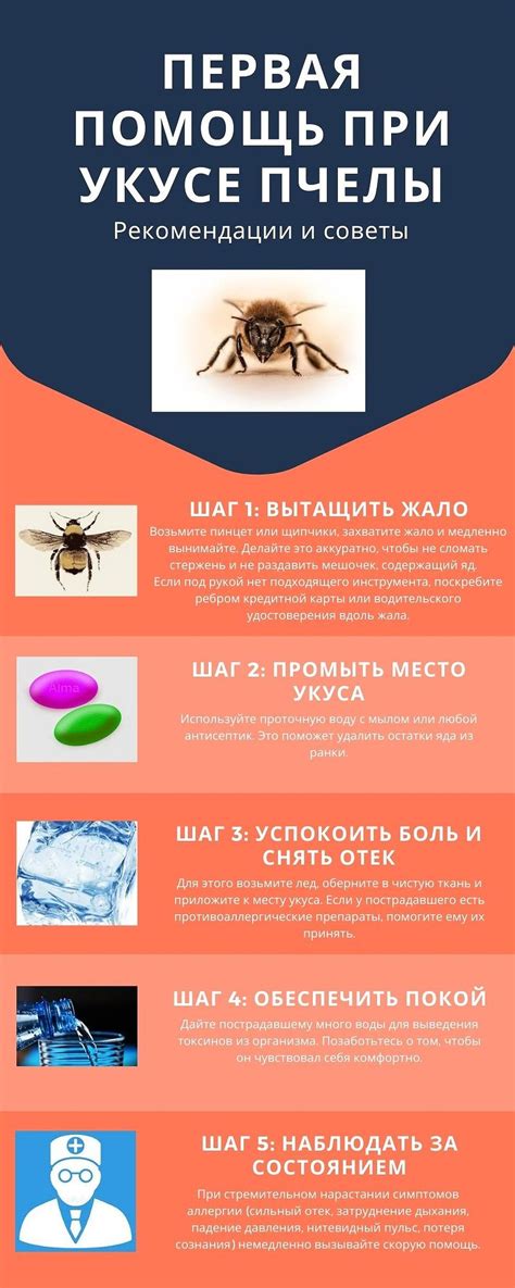 Симптомы и осложнения после укуса пчелы в область головы