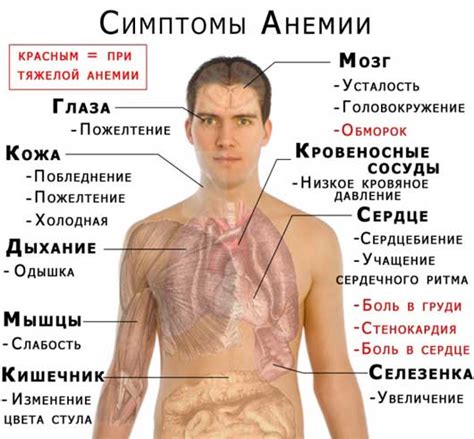 Симптомы и признаки недостатка необходимого элемента в организме