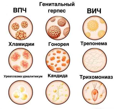 Симптомы и признаки необычных высыпаний на области лица