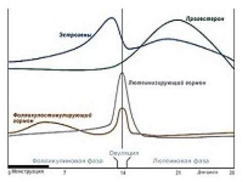 Снижение уровня ФСГ: механизмы и воздействие