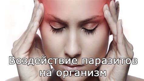 Сны и здоровье: возможное воздействие белых паразитов на наше физическое и эмоциональное состояние