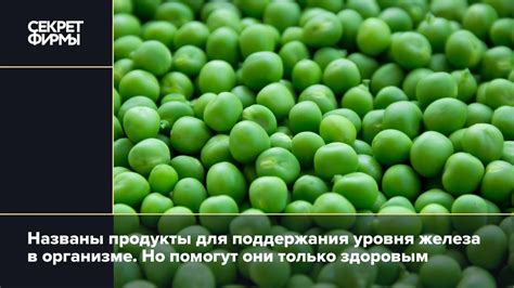 Советы для поддержания нормального уровня желчного пигмента в организме