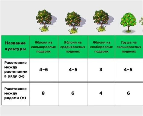 Советы для размещения деревьев на склоне