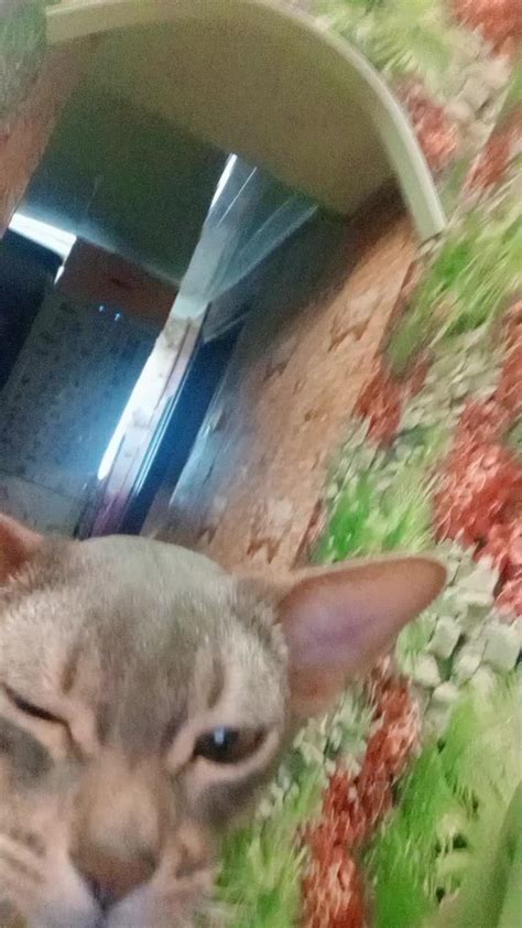 Советы по выбору транспорта в вашем городе