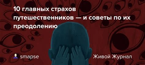 Советы по пониманию снов с заклинательницами и преодолению их воздействия
