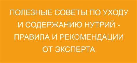 Советы по уходу и содержанию прекрасного судна