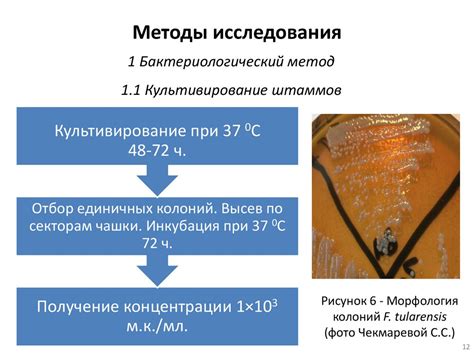 Современные подходы в молекулярной диагностике