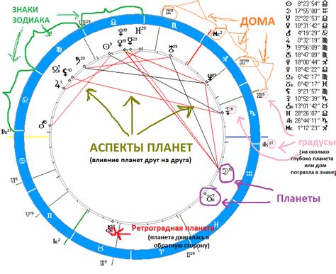 Содержание натальной карты: насыщенный архив информации