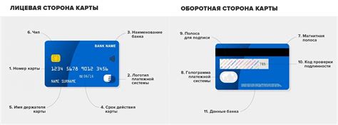 Содержимое и внешний вид карты "ирбис" в кошельке