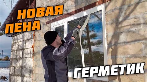 Создание барьера на окне: защита от постоянных посетителей в крыле