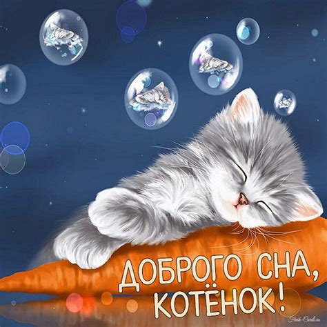 Создание благоприятной атмосферы для спокойного сна пушистого друга