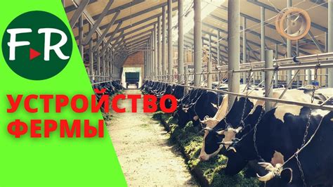 Создание и устройство фермы