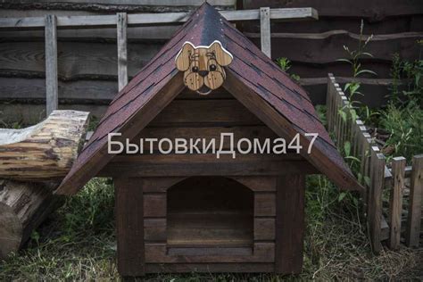 Создание комфортной и безопасной спальни для питомца