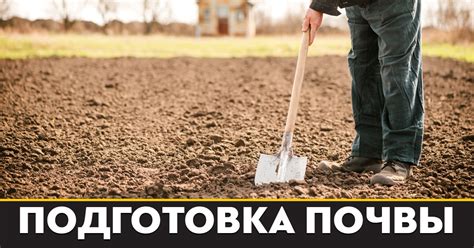 Создание надежной барьерной защиты от прорастания сорняков и роста сорняков