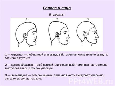 Создание первой детали: идеально округлая голова