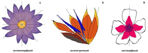Создание центральной части цветка с использованием воздушных шаров