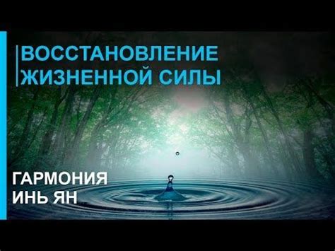 Сон: главная составляющая для восстановления жизненной силы организма