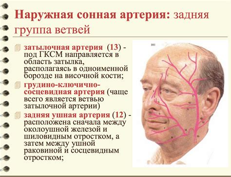 Сонные режимы
