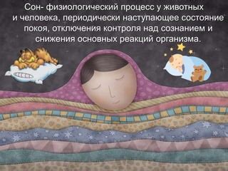 Сон и его связь с сознанием и подсознанием человека