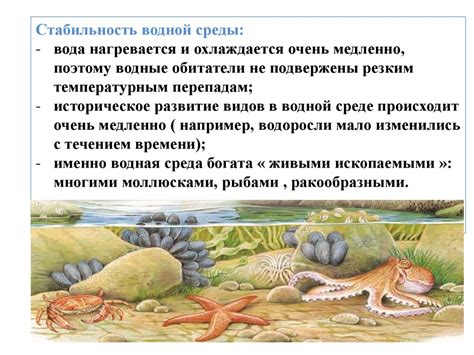 Сохранение дынных ломтиков в водной среде