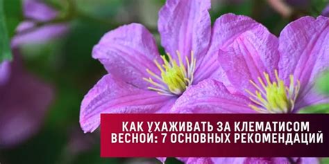 Сохранение и публикация вашего творчества: советы и рекомендации для успешного представления работы