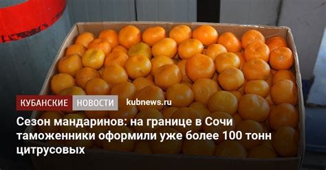 Сохранение ощущения свежести мандаринов на протяжении длительного времени