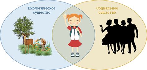 Социальное окружение и его влияние на проявление поддержки и утверждения