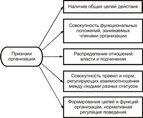 Социальные организации и поведение: существенные аспекты эволюции