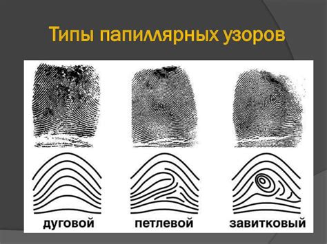 Специализация особой части: идентификация через отпечатки пальцев, анализ следов обуви и ДНК