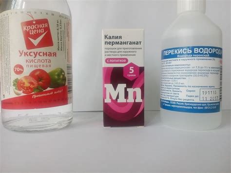 Специализированные средства и профессиональные услуги: помощь в борьбе с неприятным запахом