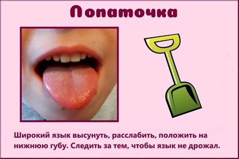 Специальные упражнения для укрепления и развития мышц языка: предотвращение проблемного поведения