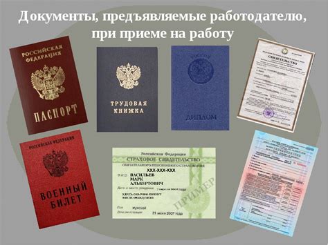 Список необходимых документов для отправки