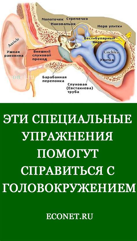 Способы борьбы с головокружением при ПМС