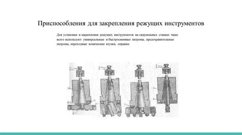 Способы закрепления специального инструмента на тело молодого птичьего существа