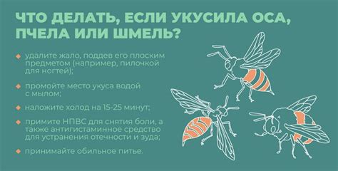Способы облегчения дискомфорта и боли при укусе осы
