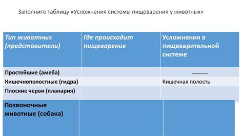 Способы поглощения питательных веществ