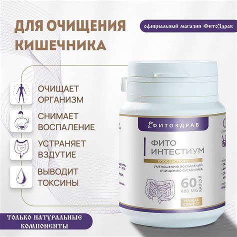 Способы поддержки процесса очищения организма от излишков и ускорения метаболизма