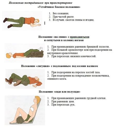 Способы помощи таксе, столкнувшейся с потерей способности передвигаться на задних конечностях