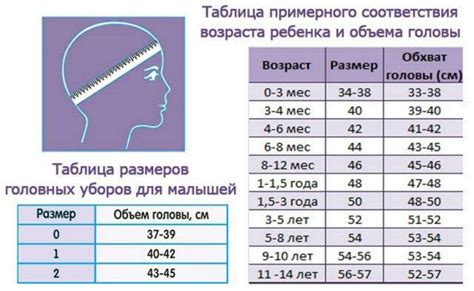 Сравнение размера головы и туловища у ребенка