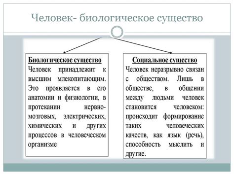 Сравнение свойств двух видов купороса
